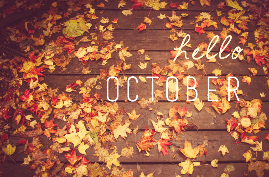 R. October October I Love You – Danica Holdaway